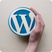 وردپرس